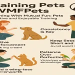 Training Pets LWMFPets