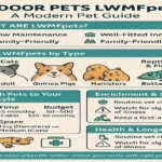 Indoor Pets LWMFpets
