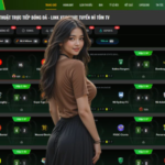 Why Mitom Link is the Gold Standard for Streaming